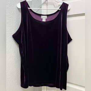 Avenue purple velour top